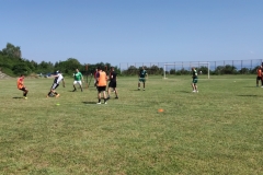 IMG_20240629_105104_1