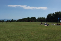 IMG_20240629_105219