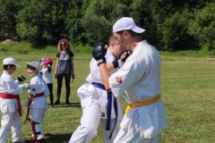 IMG_20240629_105247