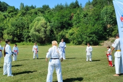 viber_изображение_2024-06-29_13-13-13-537